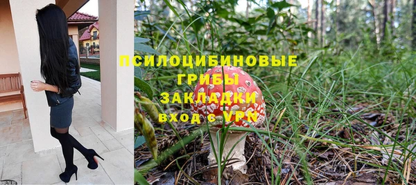 a pvp Алексеевка