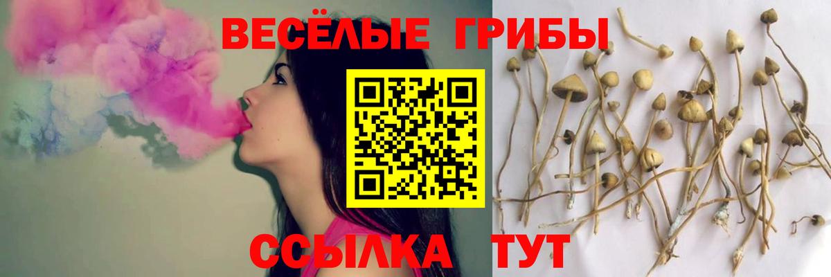 Мирный  Галлюциногенные грибы мицелий  Вход с VPN 