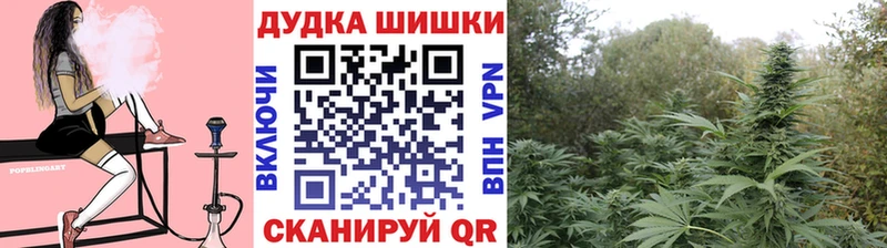 Бошки Шишки SATIVA & INDICA  Мирный 